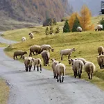 Bergalga
