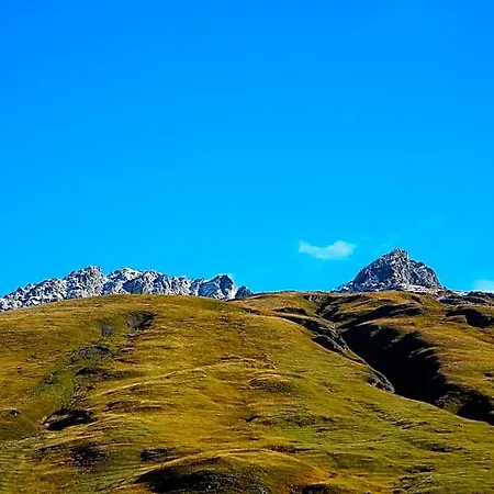 Bergalga Am Bach