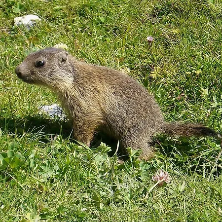 Bergalga ホテル