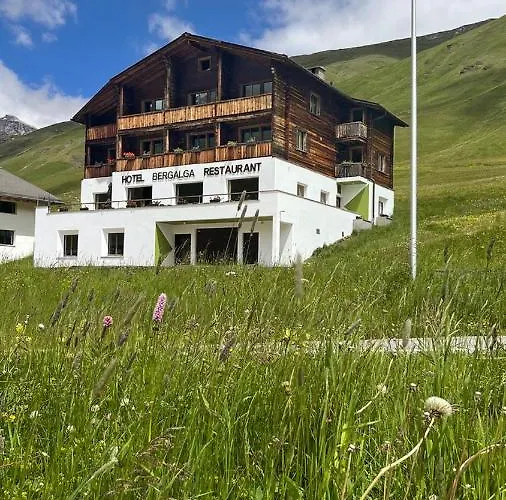 Bergalga *